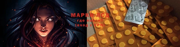 ГАЛЛЮЦИНОГЕННЫЕ ГРИБЫ Белоозёрский