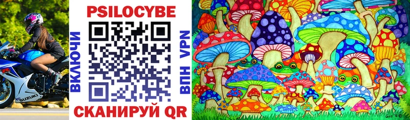 Псилоцибиновые грибы Cubensis Дагестанские Огни