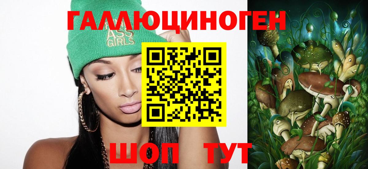цена наркотик  Вход с VPN  Галлюциногенные грибы GOLDEN TEACHER  Дагестанские Огни  Псилоцибиновые грибы Psilocybine cubensis 